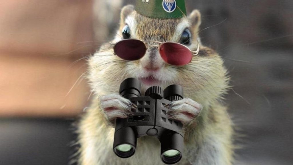 Animale spion cum au fost antrenate pentru date secrete