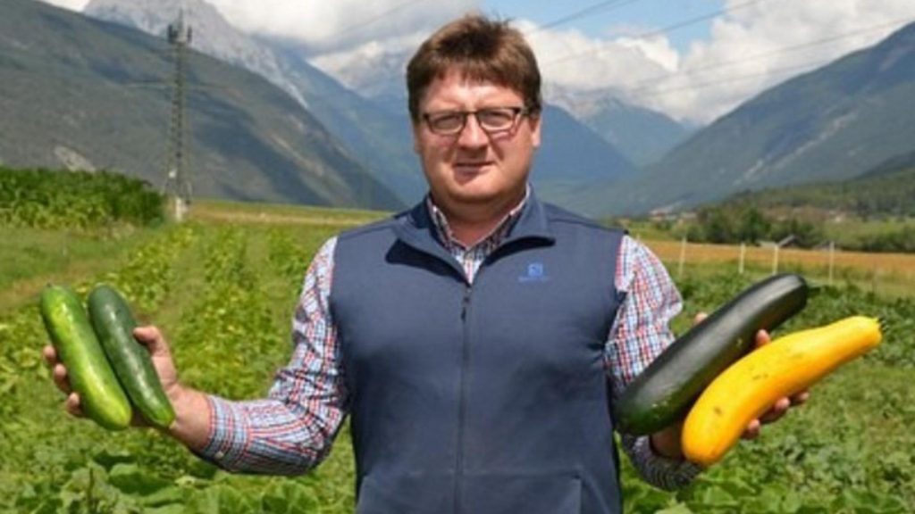 Pamanturile romanesti atrag fermierii austrieci Se produce mai bine aici