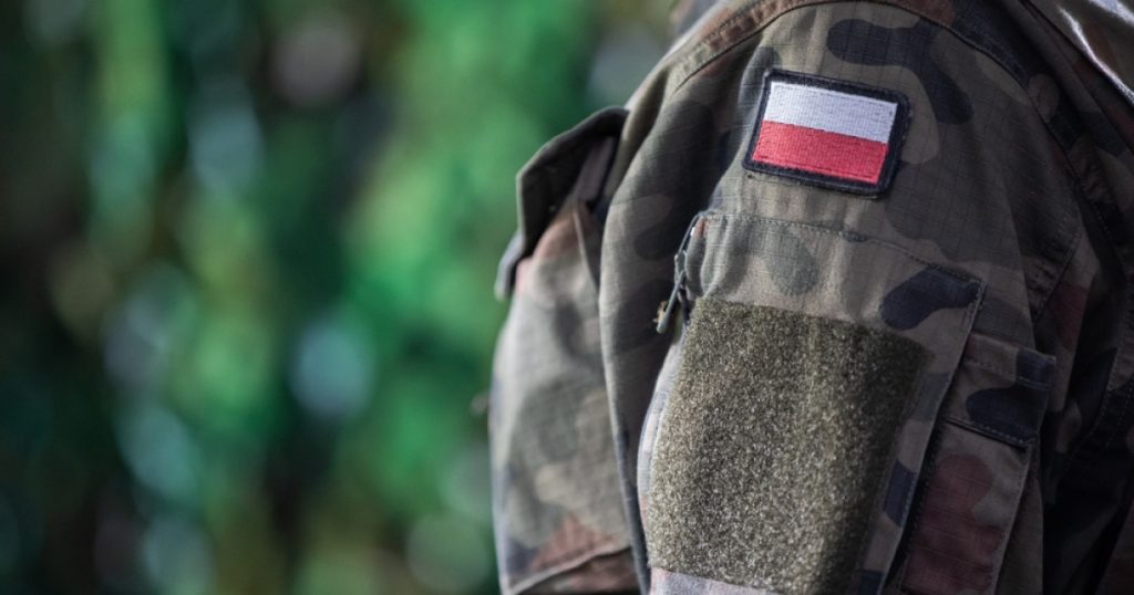 Polonia va adapta aeroporturile civile pentru uz dublu