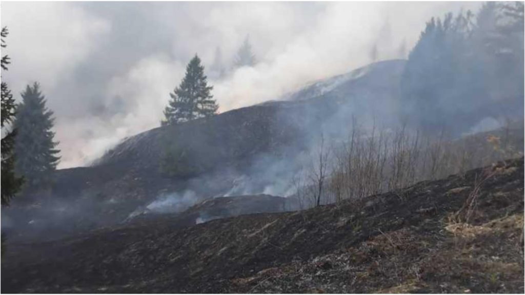 Incendiu major in Neamt 7 hectare de vegetatie distruse