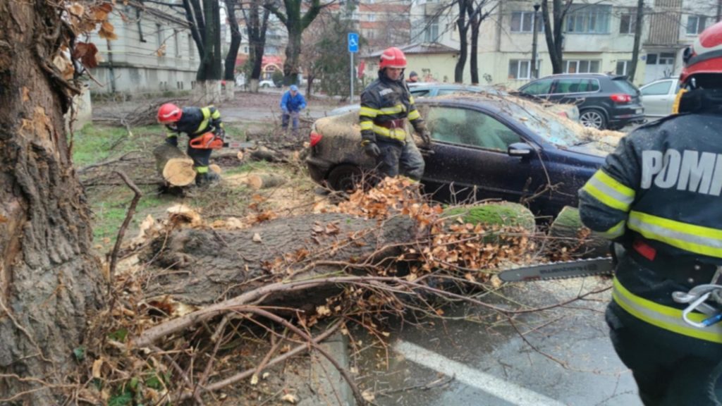Incident grav in Prahova Copac cazut peste masina cu doua persoane