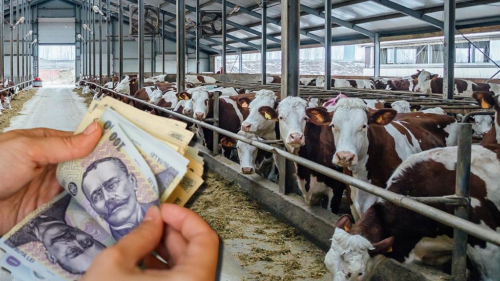 Vesti bune pentru fermierii din zootehnie Ministrul Agriculturii anunta 4 miliarde lei investitii