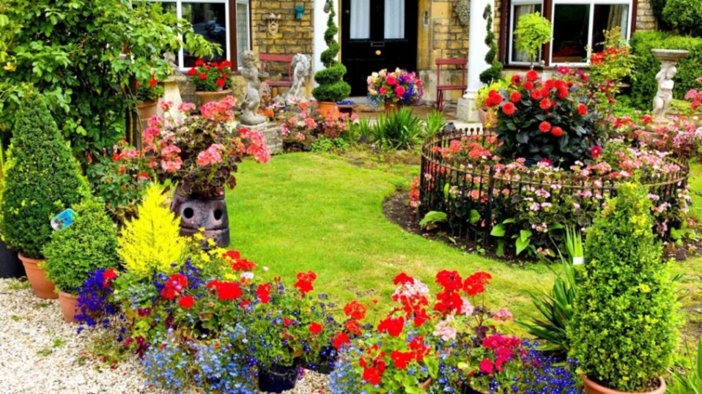 Florile de plantat in luna mai pentru paradis