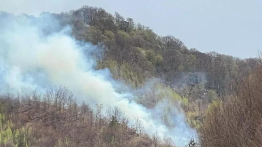 Incendiul de padure din Cetateni Arges stins