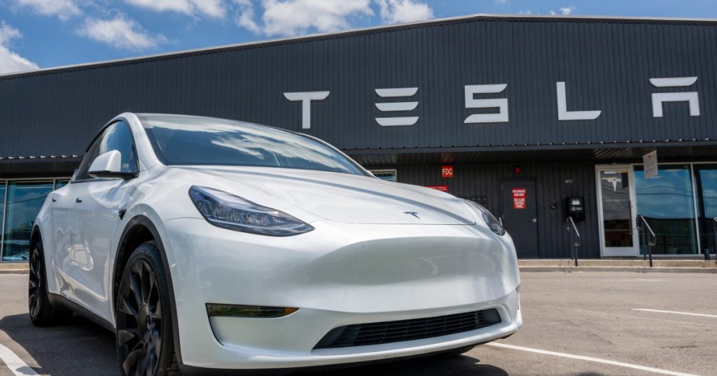 Romanca cu initialele gravate pe bateriile Tesla a castigat procesul impotriva lui Elon Musk Cine este Cristina Balan