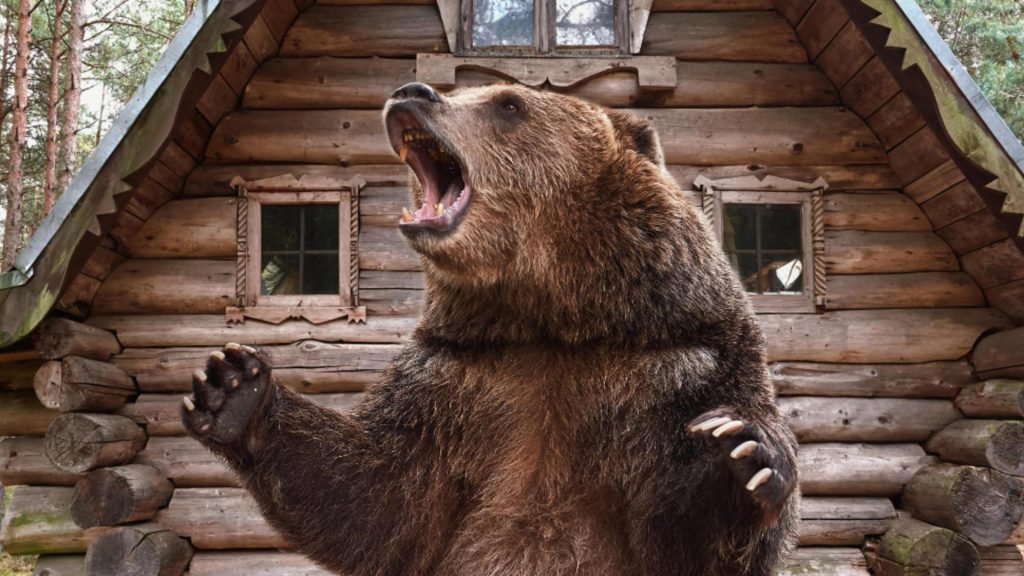 Un urs a aparut langa o cabana in Bicaz Chei