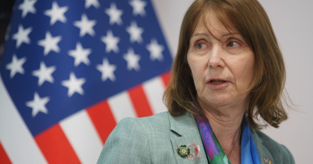 Ambasadoarea SUA in Romania se va pensiona