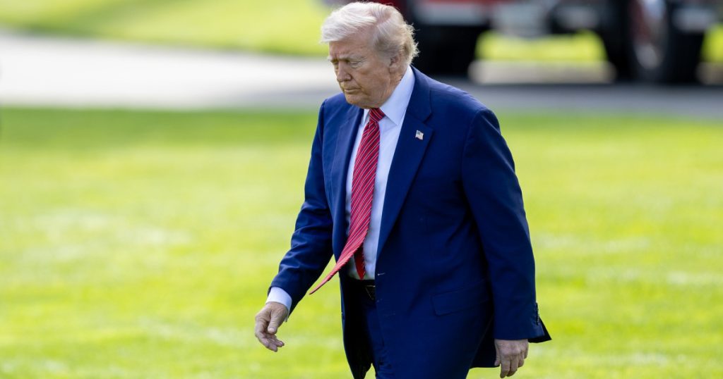 Analistii il contrazic pe Trump iPhone urile nu revin in SUA
