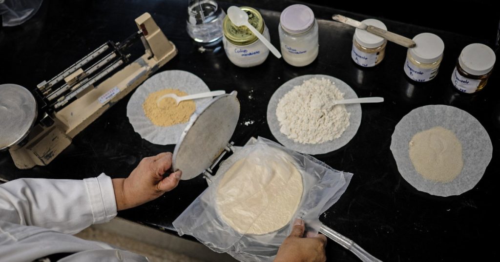 Mexicanii experimenteaza tortillas care rezista fara frigider
