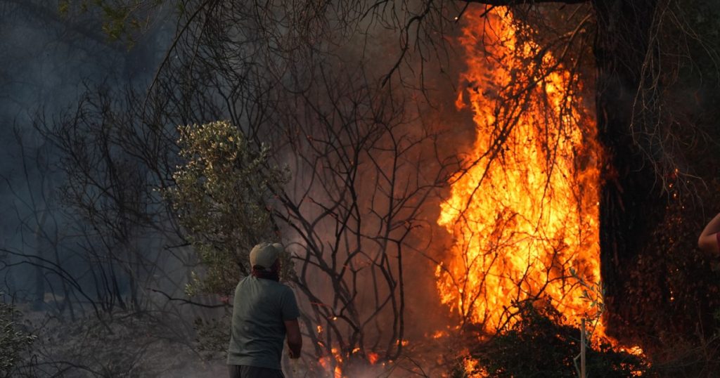 Incendii de vegetatie in Izmir Turcia 77 focare
