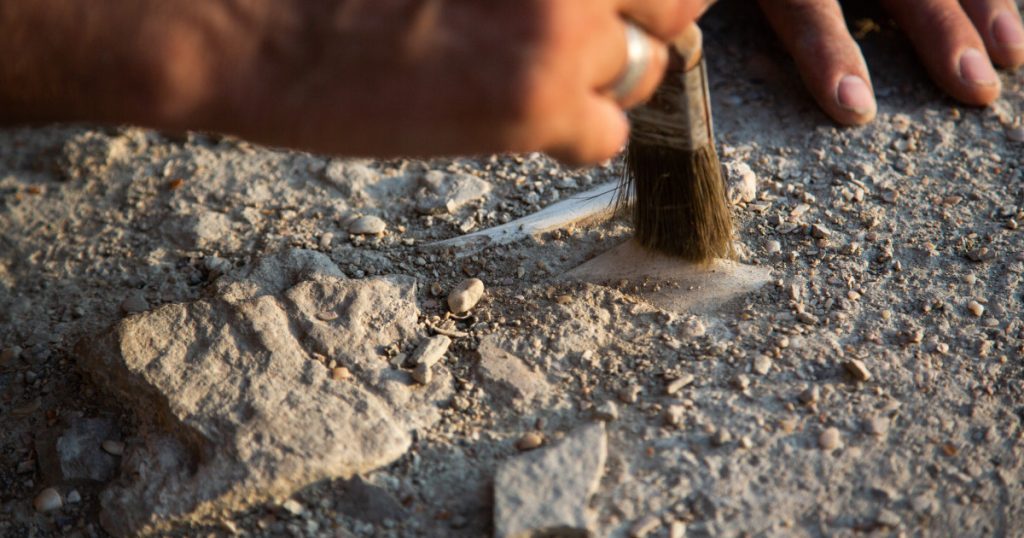 Noi dovezi arheologice Oamenii in America acum 23000 de ani