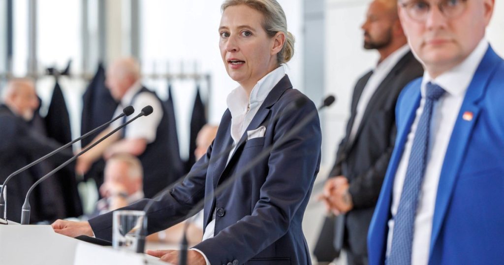Partidul AfD adaposteste extremisti de dreapta anunta spionajul german