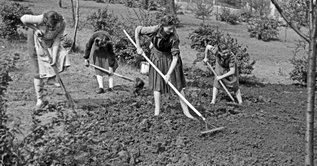 Landurile Germaniei nu se inteleg asupra vacantei de vara