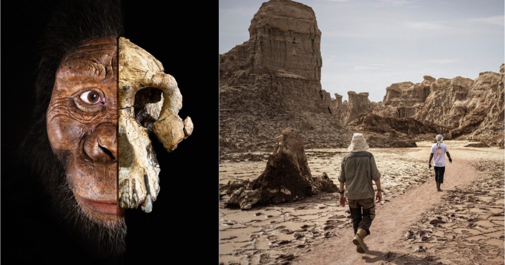Cercetatorii au descoperit o noua specie de hominizi