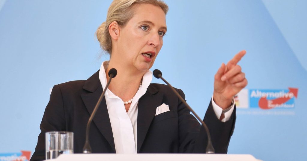 Extrema dreapta conduce preferintele germanilor AFD inaintea cancelarului Merz
