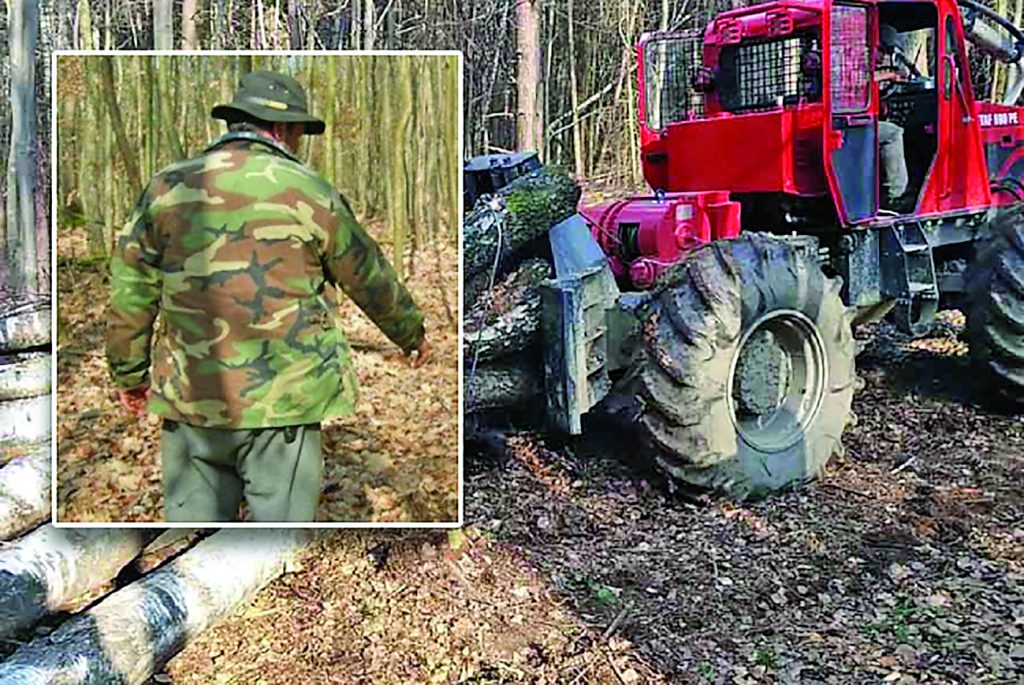 Padurar condamnat sa plateasca daune de 2500 lei