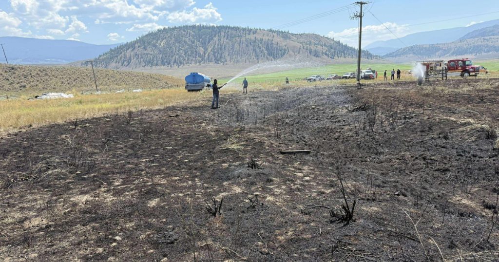 Peste scapat de pasare a provocat incendiu in Canada