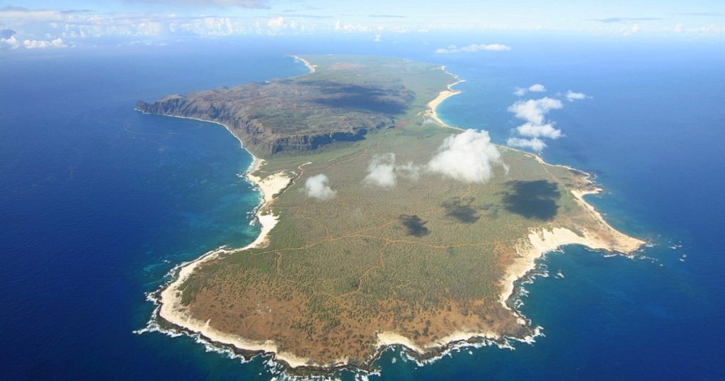 Paradisul din Hawaii locuitorii fara chirie si carne gratis