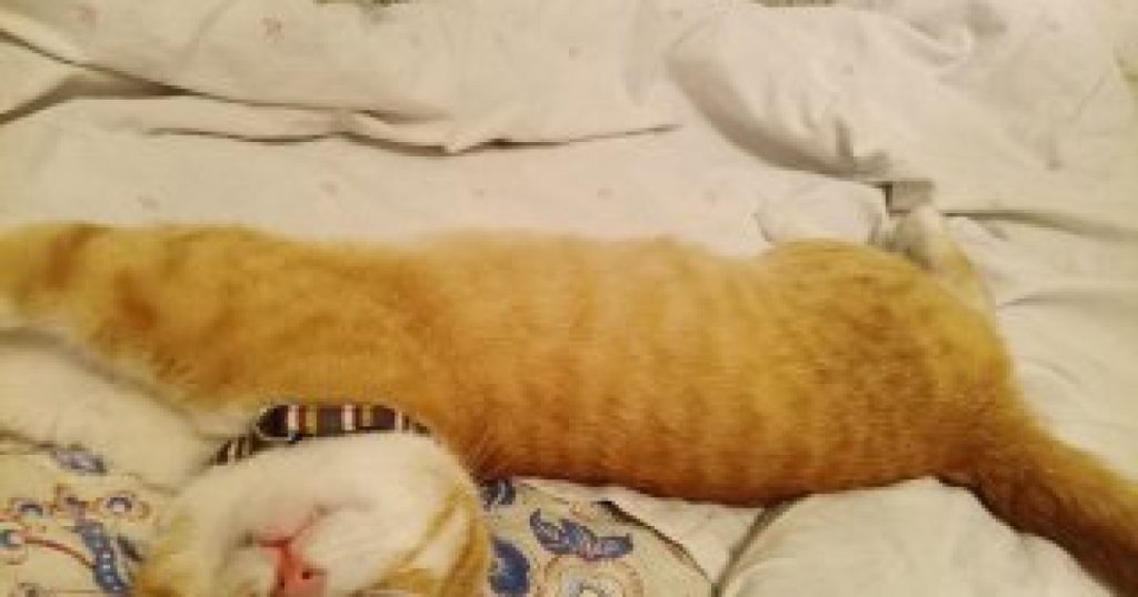Patru ani si jumatate in captivitate in Rusia