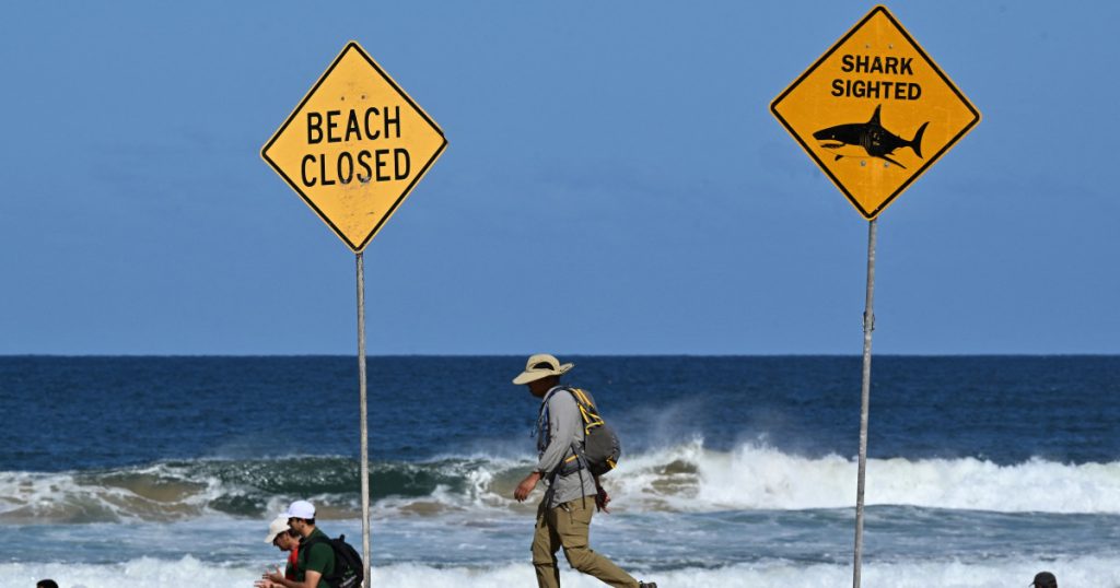 Un surfer a fost ucis de un rechin in Australia